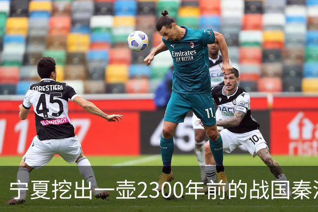宁夏挖出一壶2300年前的战国秦酒，打开后还有3740毫升，检测结果让人服气