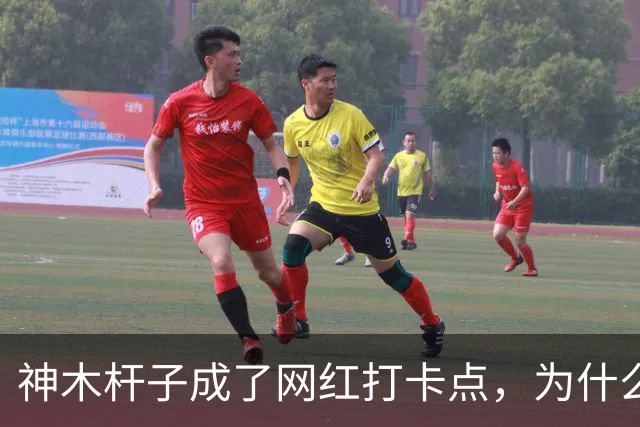 神木杆子成了网红打卡点，为什么要围起来？