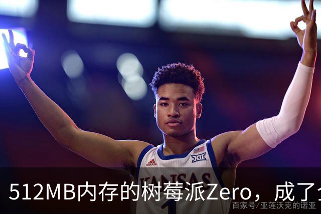 512MB内存的树莓派Zero，成了全家网络的DNS中枢